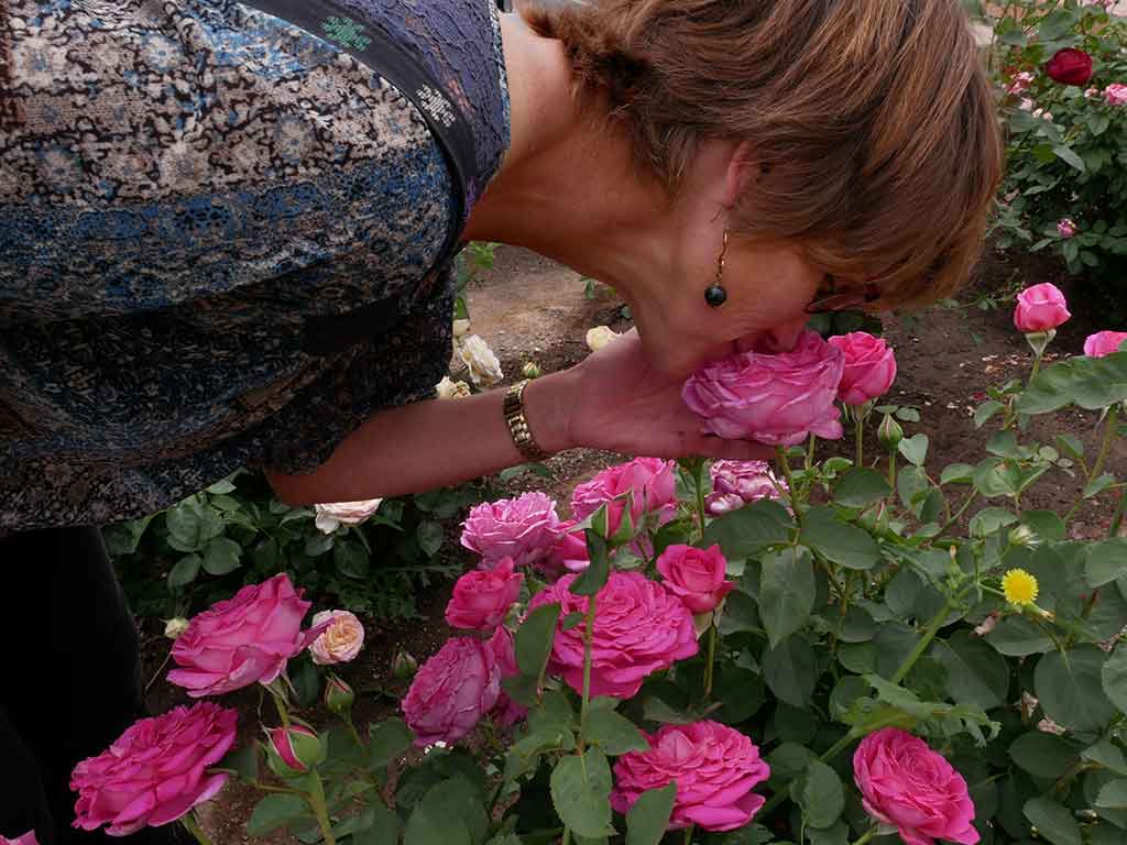 Kari-smelling-the-roses